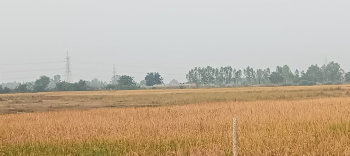 Property for sale in Nawabganj, Unnao