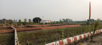 8 Bigha Residential Plot for Sale in Gosainganj, Lucknow