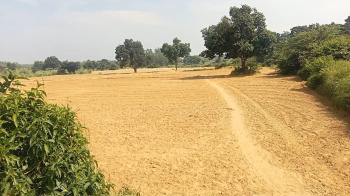 14 Bigha Agricultural/Farm Land for Sale in Purwa, Unnao