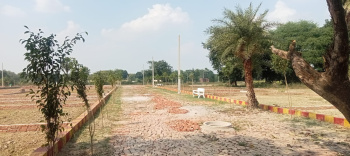 1000 Sq.ft. Residential Plot for Sale in Kalli Poorab, Lucknow