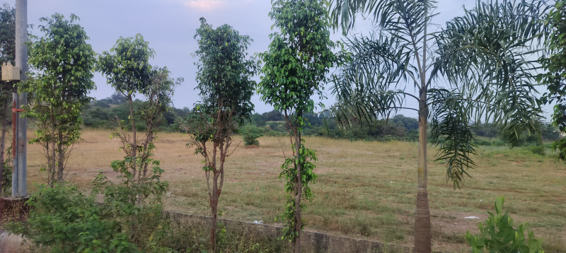 10.5 Guntha Agricultural/Farm Land for Sale in Trimbak Road, Nashik