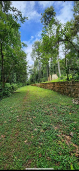 5000 Sq.ft. Agricultural/Farm Land for Sale in Yercaud, Salem