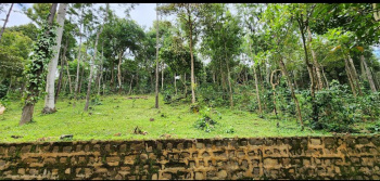 5500 Sq.ft. Agricultural/Farm Land for Sale in Yercaud, Salem
