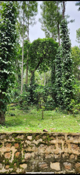 8500 Sq.ft. Agricultural/Farm Land for Sale in Yercaud, Salem