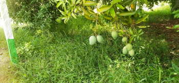 Property for sale in Olakkur, Villupuram