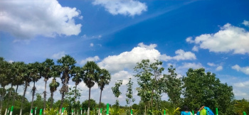 Property for sale in Tindivanam, Chennai