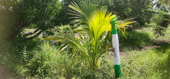 Property for sale in Tindivanam, Chennai