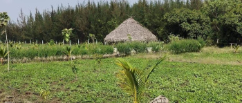 10000 Sq.ft. Agricultural/Farm Land for Sale in Ongur, Villupuram