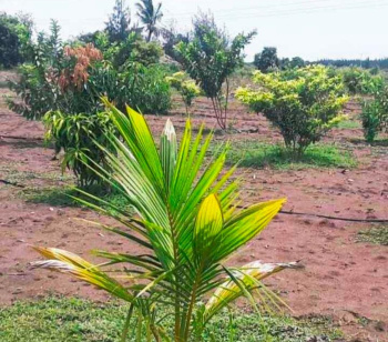 Property for sale in Uthiramerur, Kanchipuram
