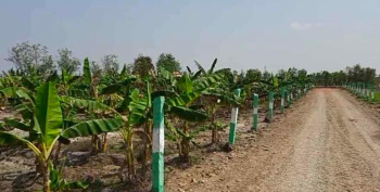 Property for sale in Uthiramerur, Kanchipuram