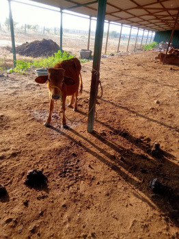 Property for sale in Uthiramerur, Kanchipuram