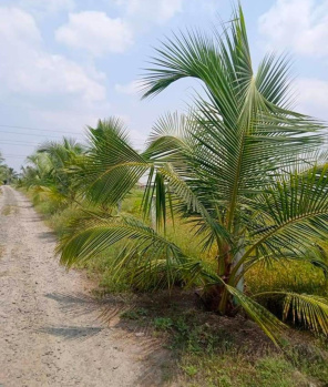 Property for sale in Uthiramerur, Kanchipuram