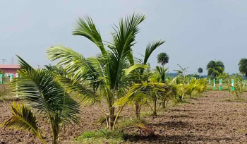 Property for sale in Uthiramerur, Kanchipuram