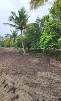 10000 Sq.ft. Agricultural/Farm Land for Sale in East Coast Road, Chennai