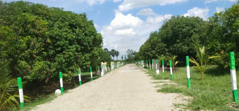 10000 Sq.ft. Agricultural/Farm Land for Sale in Ecr To Marakanam Road, Chennai