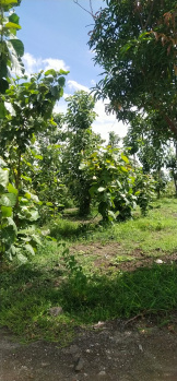 Property for sale in Ecr To Marakanam Road, Chennai