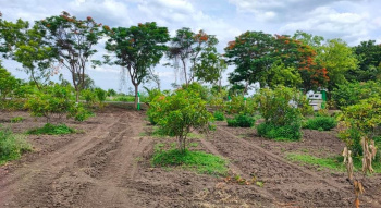10000 Sq.ft. Agricultural/Farm Land for Sale in Marakkanam, Chennai