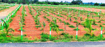 Agricultural/Farm Land for Sale in Karunguzhi, Chengalpattu (9600 Sq.ft.)