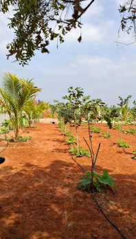Property for sale in Karunguzhi, Chengalpattu