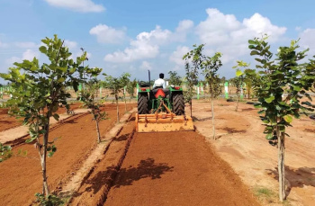 Agricultural/Farm Land for Sale in Cheyyur, Chengalpattu (9600 Sq.ft.)