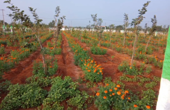 Property for sale in East Coast Road, Pondicherry