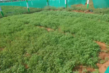 Property for sale in East Coast Road, Pondicherry