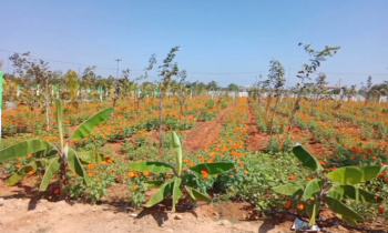 Property for sale in East Coast Road, Pondicherry