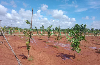 Property for sale in Cheyyur, Chengalpattu