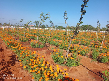 Property for sale in Pulipakkam, Chengalpattu