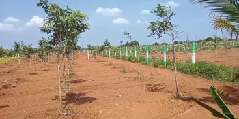 Property for sale in East Coast Road, Pondicherry