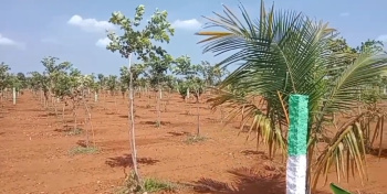 Property for sale in Marakkanam, Chennai