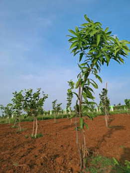 Property for sale in Marakkanam, Chennai