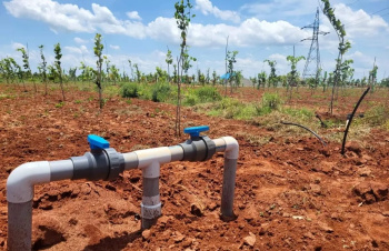 Property for sale in Marakkanam, Chennai