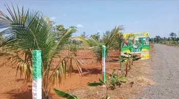Agricultural/Farm Land for Sale in Karunguzhi, Chengalpattu (9700 Sq.ft.)