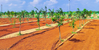 Property for sale in Pulipakkam, Chengalpattu