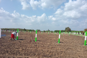Property for sale in Nenmeli, Chengalpattu
