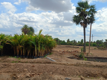 Property for sale in Salavakkam, Kanchipuram
