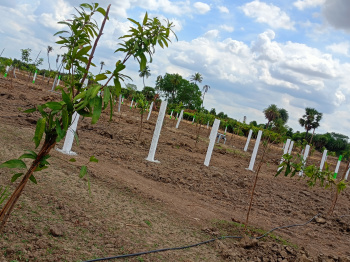 Property for sale in Palur, Kanchipuram