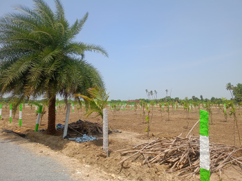 Property for sale in Chithathur, Kanchipuram