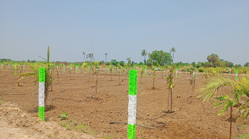 Property for sale in Palayaseevaram, Kanchipuram