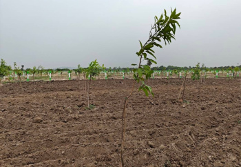 Property for sale in Palayaseevaram, Kanchipuram