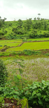 50000 Sq.ft. Agricultural/Farm Land for Sale in Shahapur, Thane