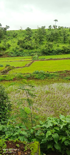 50000 Sq.ft. Agricultural/Farm Land For Sale In Shahapur, Thane