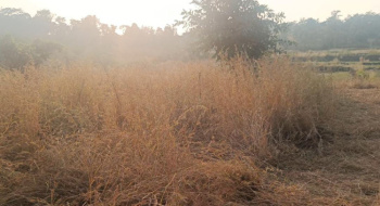 3 Acre Agricultural/Farm Land for Sale in Shahapur, Thane