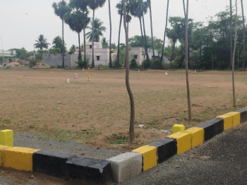 Residential Plot for Sale in Veppampattu, Thiruvallur (1800 Sq.ft.)