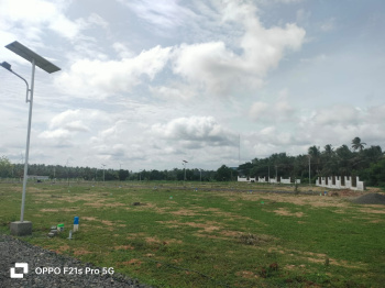 Property for sale in Kinathukadavu, Coimbatore