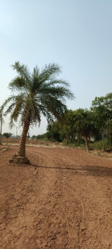 Property for sale in Chandigarh-Ludhiana Highway, Mohali