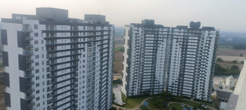 3 BHK Available for sale in New Chandigarh