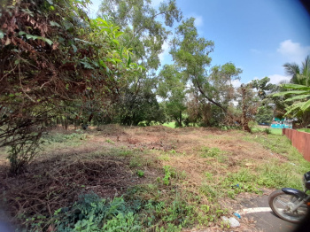 Developed plot with sanad with field view  for sale in Nuvem