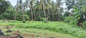 Property for sale in Benaulim, Goa